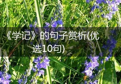 《学记》的句子赏析(优选10句)