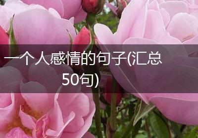 一个人感情的句子(汇总50句)