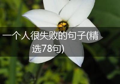 一个人很失败的句子(精选78句)