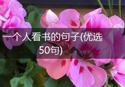 一个人看书的句子(优选50句)