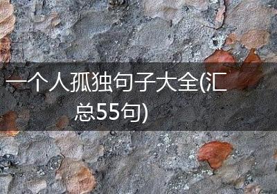 一个人孤独句子大全(汇总55句)