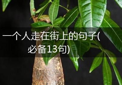 一个人走在街上的句子(必备13句)