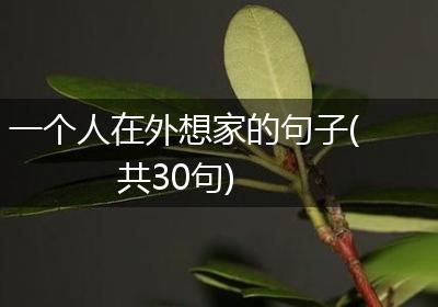 一个人在外想家的句子(共30句)