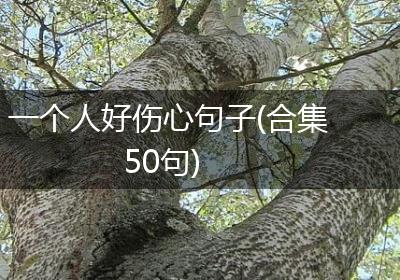 一个人好伤心句子(合集50句)