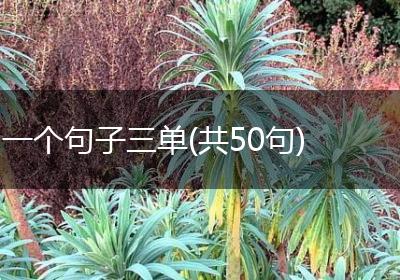一个句子三单(共50句)