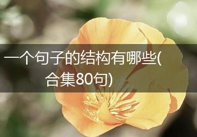 一个句子的结构有哪些(合集80句)