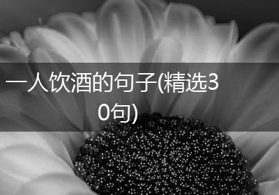 一人饮酒的句子(精选30句)