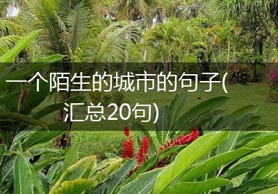 一个陌生的城市的句子(汇总20句)