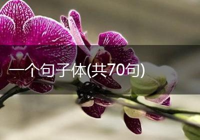 一个句子体(共70句)