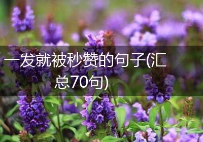 一发就被秒赞的句子(汇总70句)