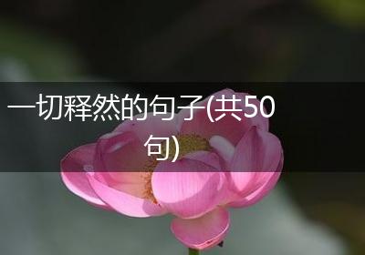 一切释然的句子(共50句)