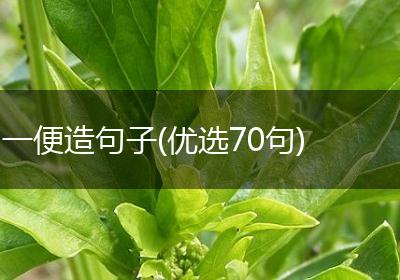 一便造句子(优选70句)
