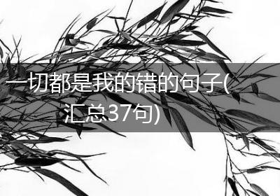 一切都是我的错的句子(汇总37句)