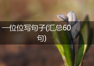一位位写句子(汇总60句)