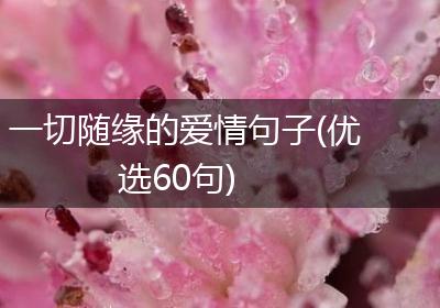 一切随缘的爱情句子(优选60句)