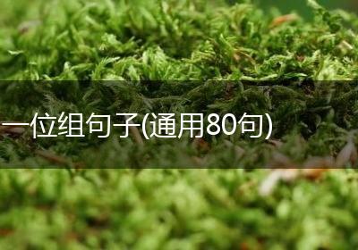 一位组句子(通用80句)