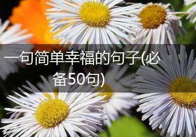 一句简单幸福的句子(必备50句)