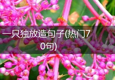 一只独放造句子(热门70句)