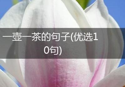 一壶一茶的句子(优选10句)