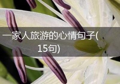 一家人旅游的心情句子(15句)