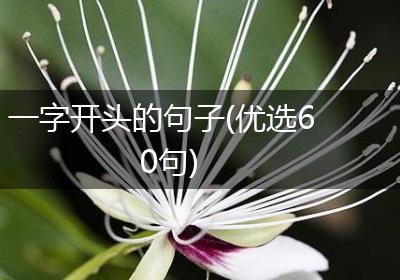 一字开头的句子(优选60句)