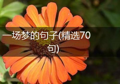 一场梦的句子(精选70句)