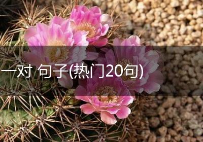 一对 句子(热门20句)
