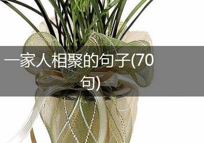一家人相聚的句子(70句)