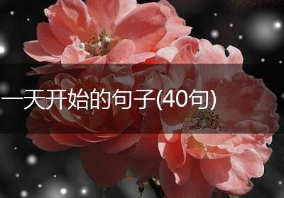 一天开始的句子(40句)