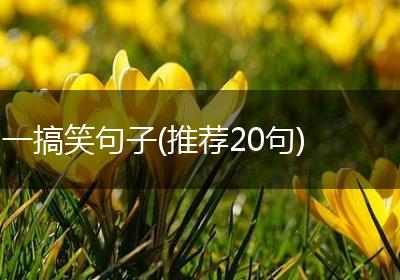 一搞笑句子(推荐20句)