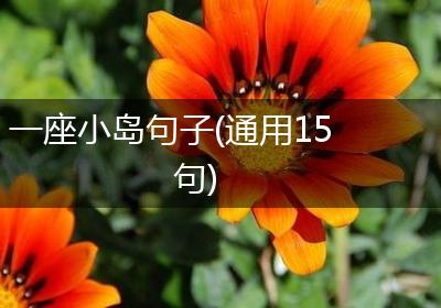 一座小岛句子(通用15句)