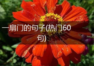 一扇门的句子(热门60句)