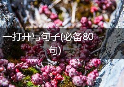一打开写句子(必备80句)