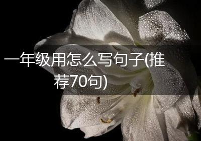 一年级用怎么写句子(推荐70句)