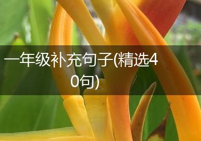 一年级补充句子(精选40句)