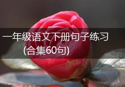 一年级语文下册句子练习(合集60句)