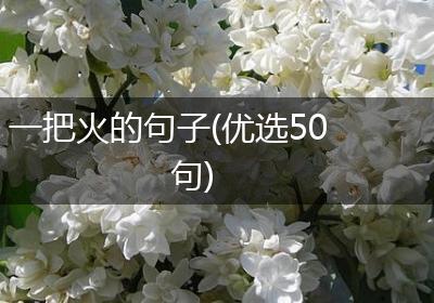 一把火的句子(优选50句)