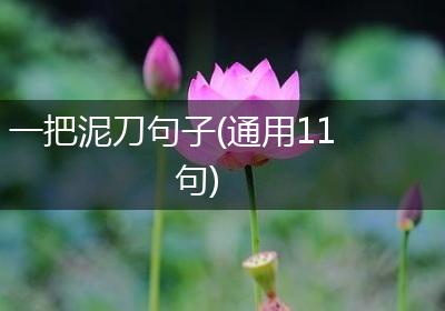 一把泥刀句子(通用11句)