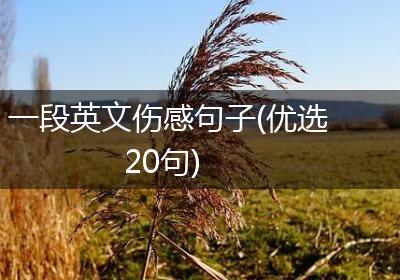 一段英文伤感句子(优选20句)