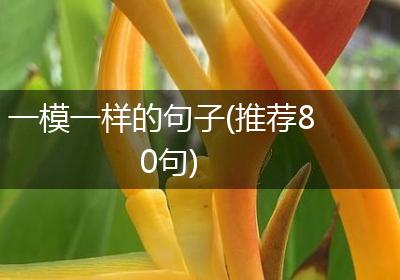 一模一样的句子(推荐80句)