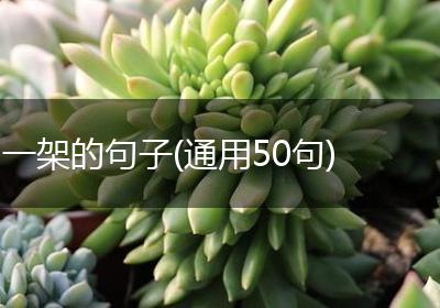 一架的句子(通用50句)