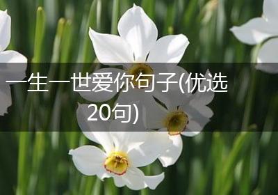 一生一世爱你句子(优选20句)
