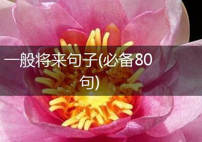 一般将来句子(必备80句)