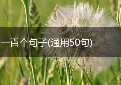 一百个句子(通用50句)