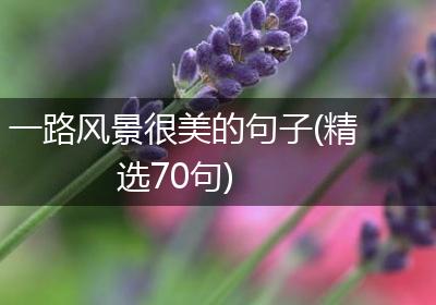 一路风景很美的句子(精选70句)