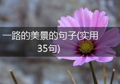 一路的美景的句子(实用35句)
