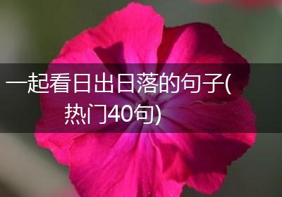 一起看日出日落的句子(热门40句)