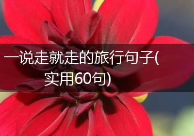 一说走就走的旅行句子(实用60句)