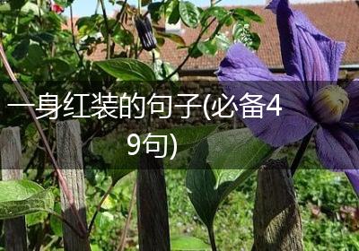 一身红装的句子(必备49句)