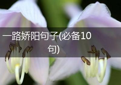 一路娇阳句子(必备10句)